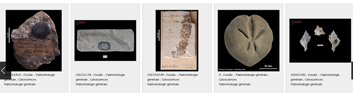 SorbonNum_Collection_geosciences.png
