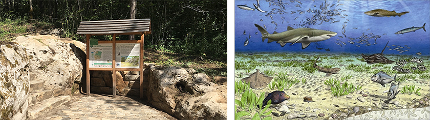 excursion_essonne_SD.jpg excursion_essonne_SD.jpg